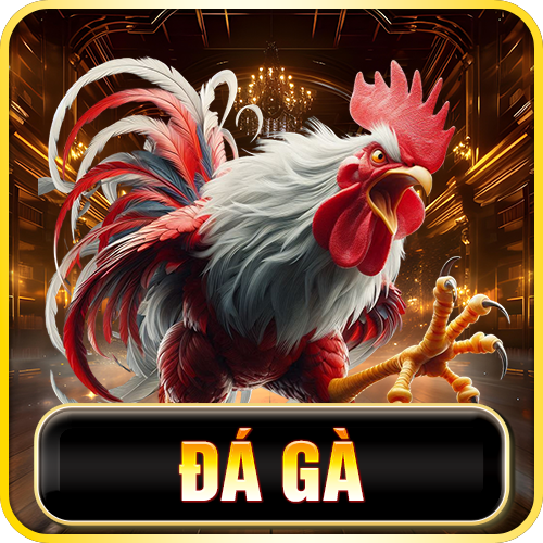 j88 bet-da-ga